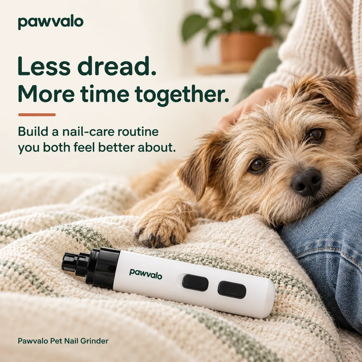 A relaxed dog beside the grinder: less dread, more time together
